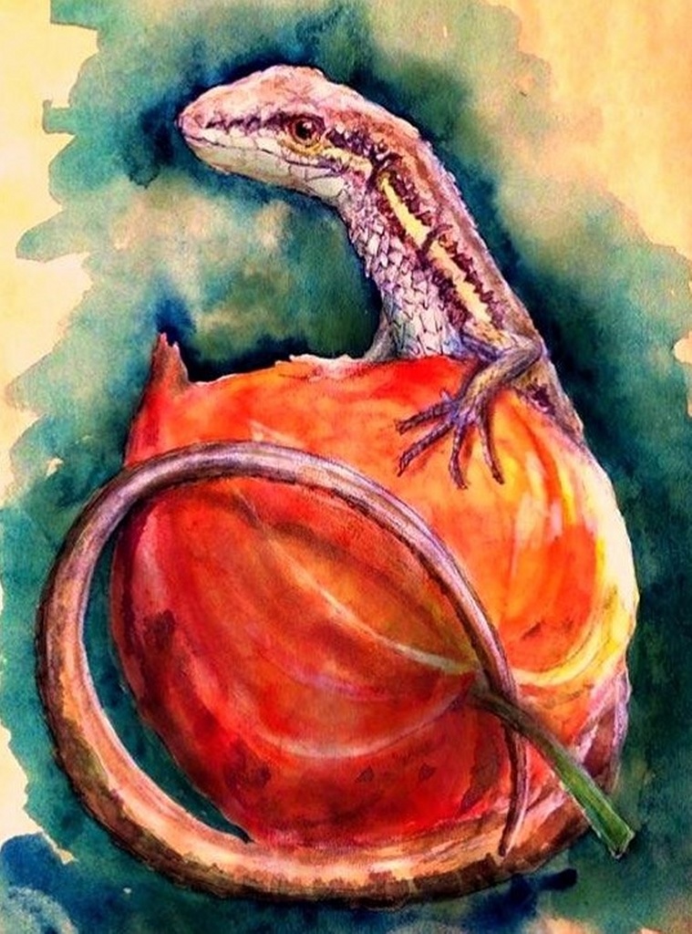 カナヘビ(ホワイト)