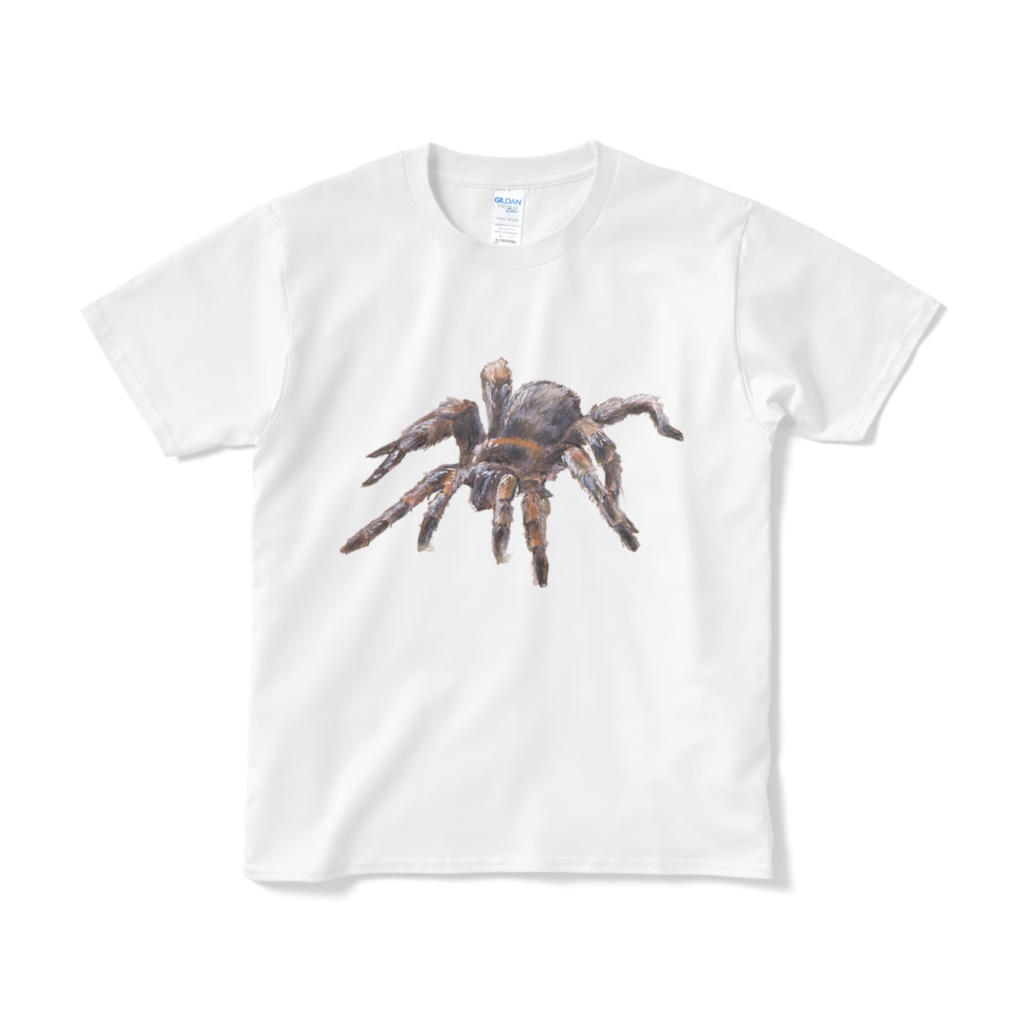 蜘蛛b（ホワイト）