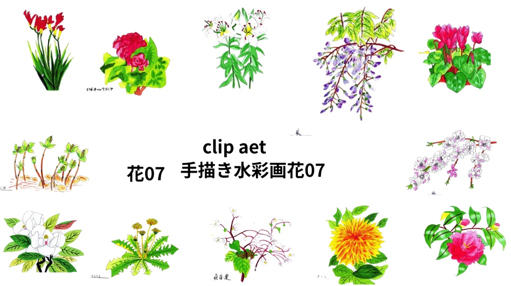 手描きの水彩画花07