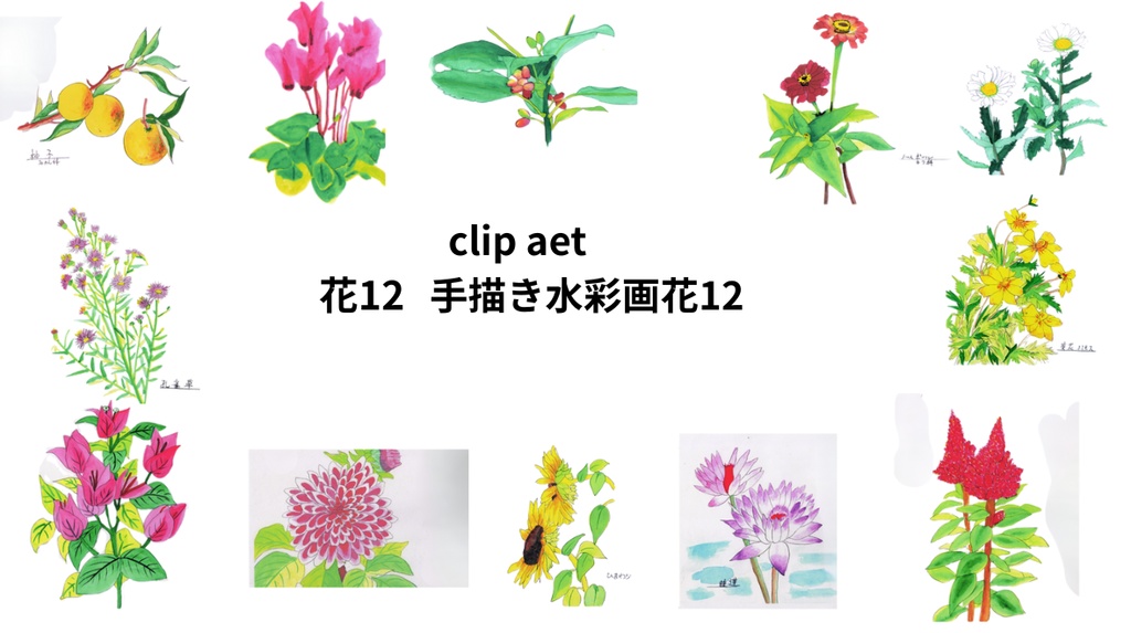 手描きの水彩画花12
