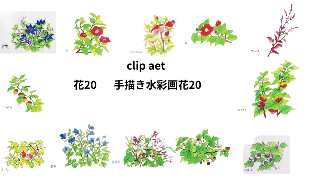 手描きの水彩画花20