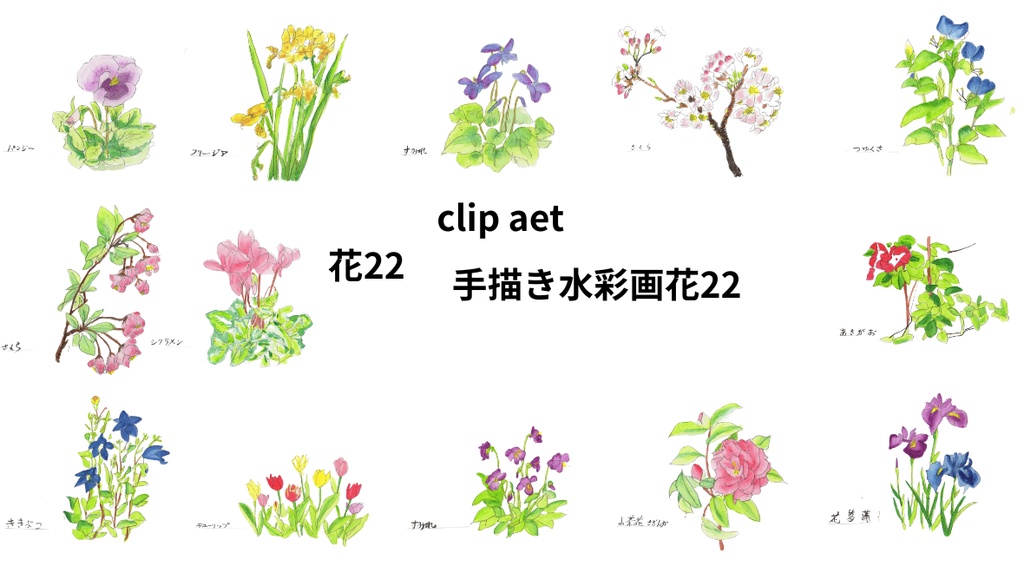 手描きの水彩画花22