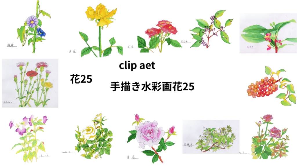 手描きの水彩画花25