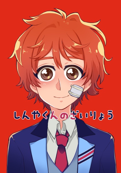 しんやくんのざいりょう