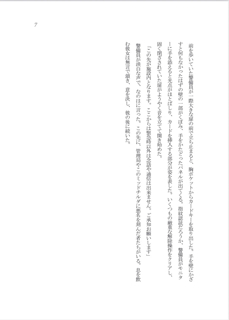 【小説】魔法少女リリカルなのは外伝 ミッドチルダの空