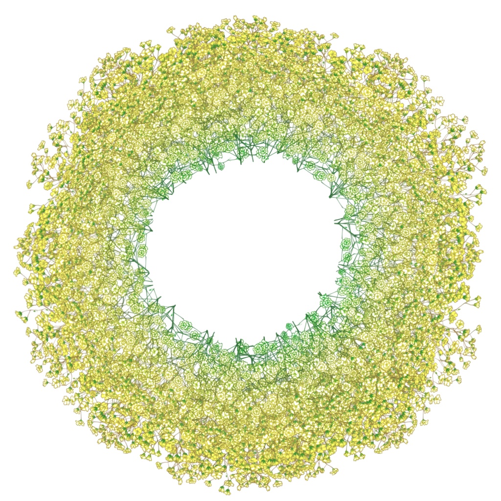 カスミソウのリース