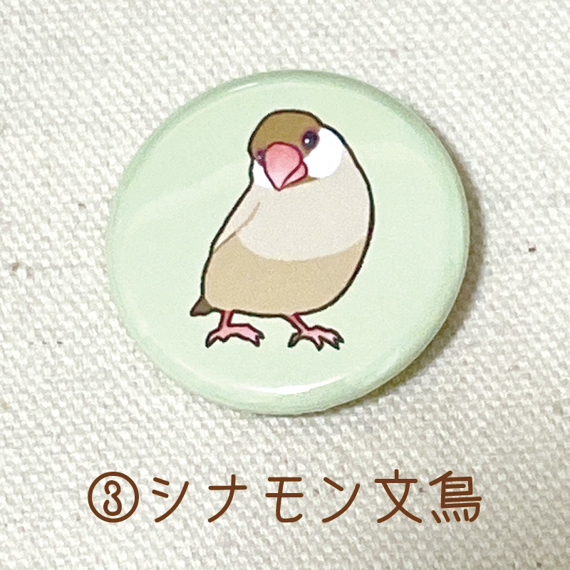 文鳥さん 缶バッジ