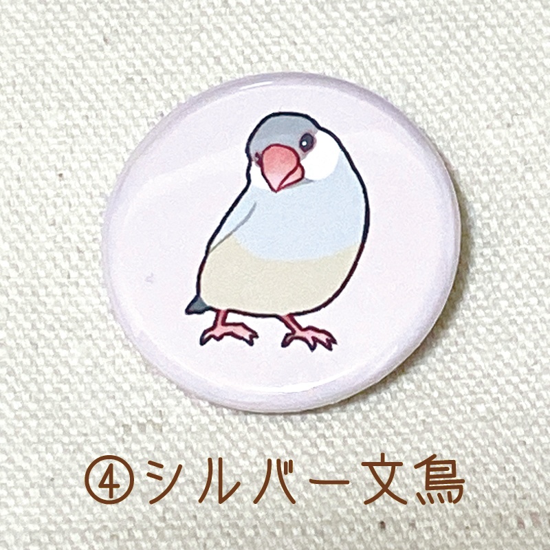 文鳥さん 缶バッジ - Chun＊Chun - BOOTH