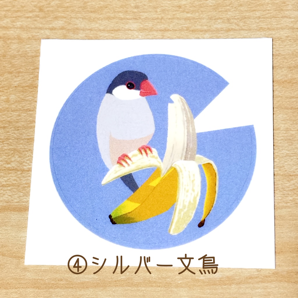 文鳥さん ステッカー
