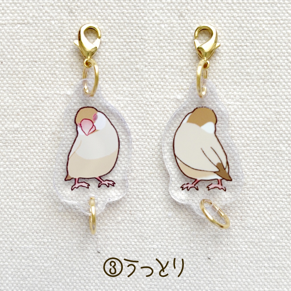 シナモン文鳥さん つながるアクリルチャーム