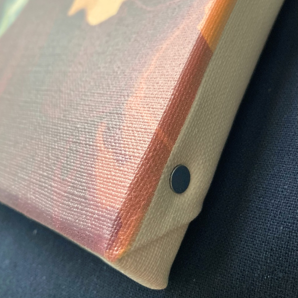 キャンバスアート「無花果」