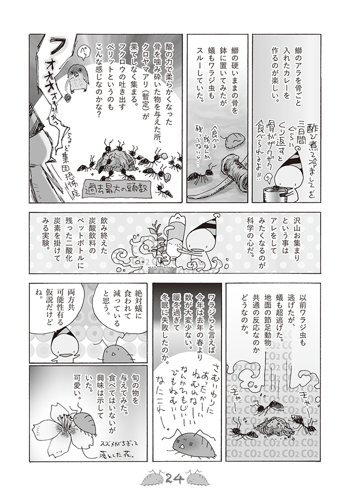 【自家通販】ワラジ虫観察漫画冊子(+でかいワラジとのセット)