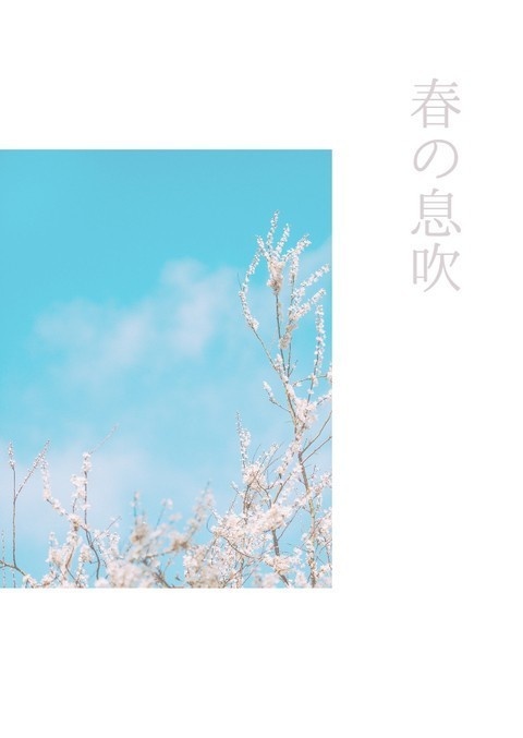 【長義さに】春の息吹