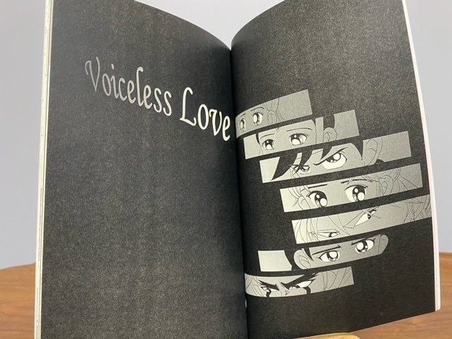 完売御礼【最終回後ヒュンマ】Voiceless Love
