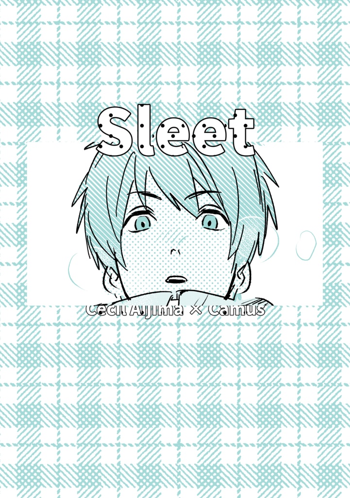 Sleet