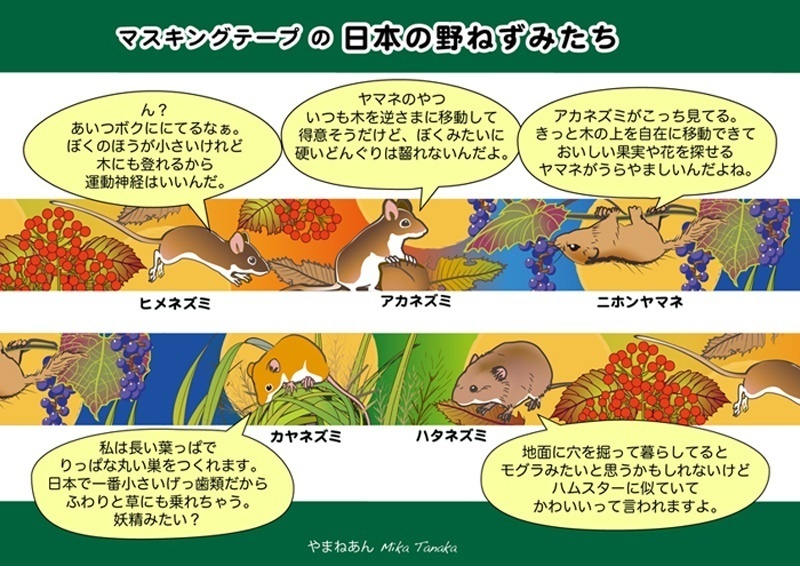 《DL》Free paper-マスキングテープの『日本の野ねずみたち』
