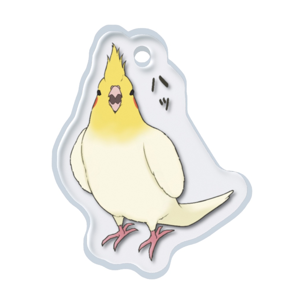 オカメインコ威嚇めじるしチャーム