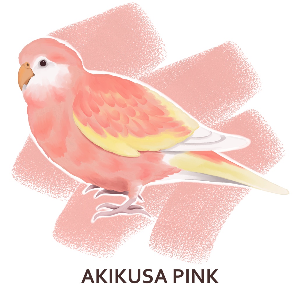 推し鳥カラートートバッグ