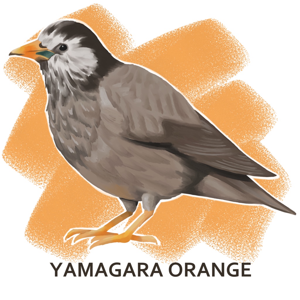 推し鳥カラートートバッグ