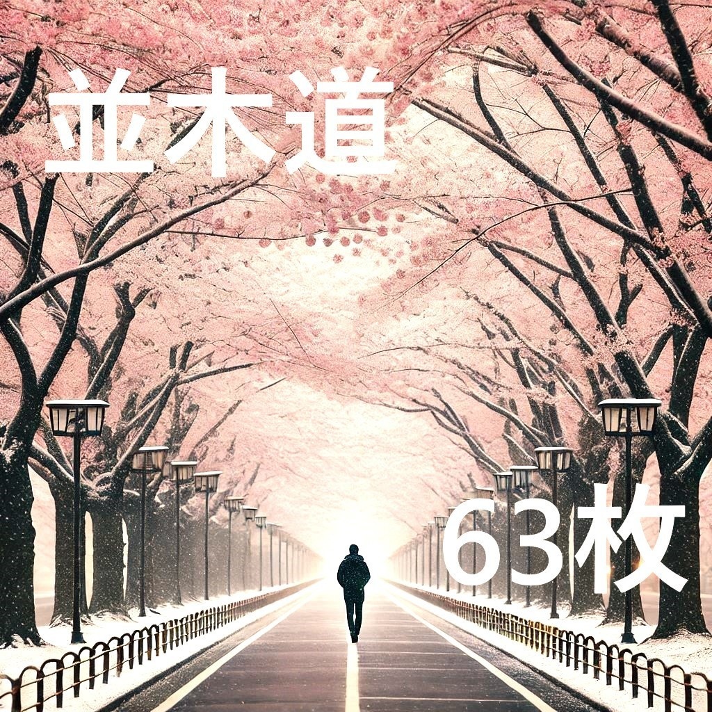 【背景画像】並木道