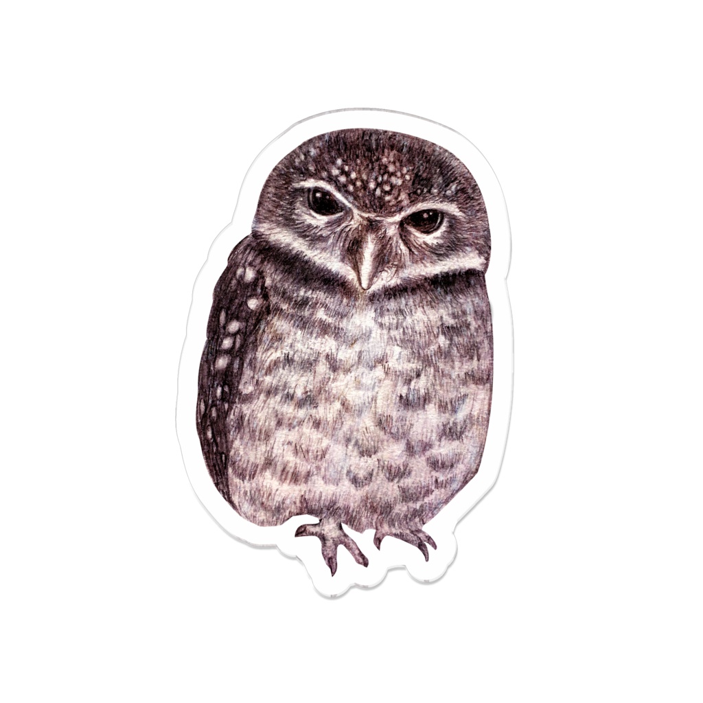 ふくろうバッヂ