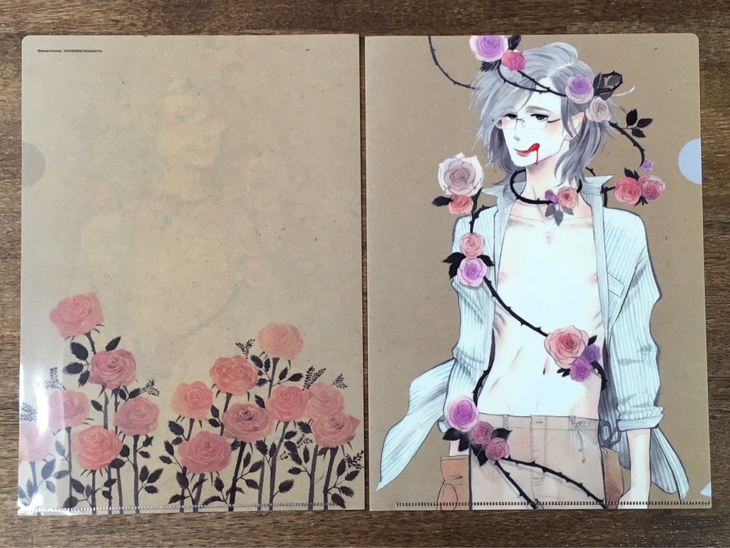 雲田はるこ クリアファイル3枚セット ばらの森にいた頃 Haruko Kumota 3 Plastic File Folders When We Were In The Rose Forest Version Shucream Inc Booth