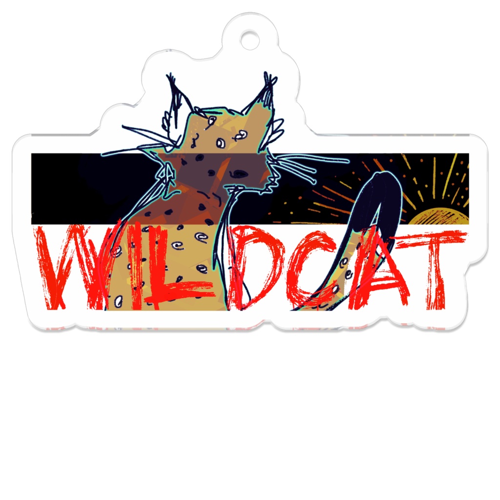 WILDCAT アクキー