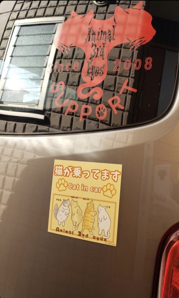 4匹正方形(大)マグネット 猫が乗ってますver