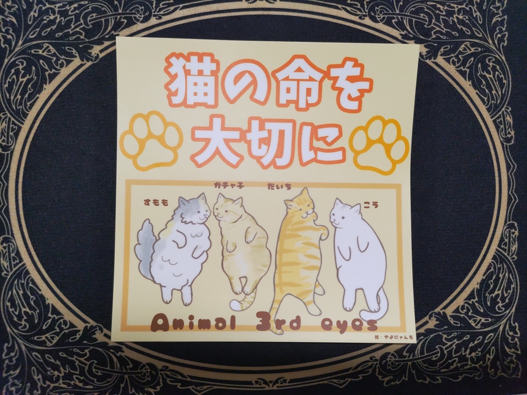 4匹正方形(大)ステッカー 猫の命を大切にver