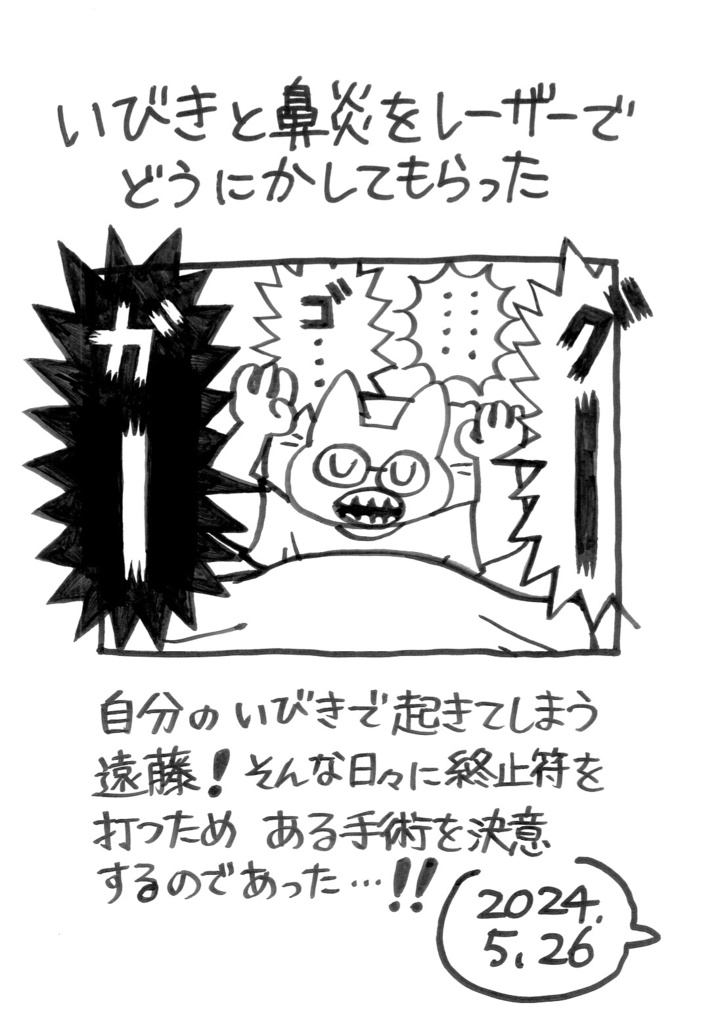 【電子版】いびきと鼻炎をレーザーでどうにかしてもらった