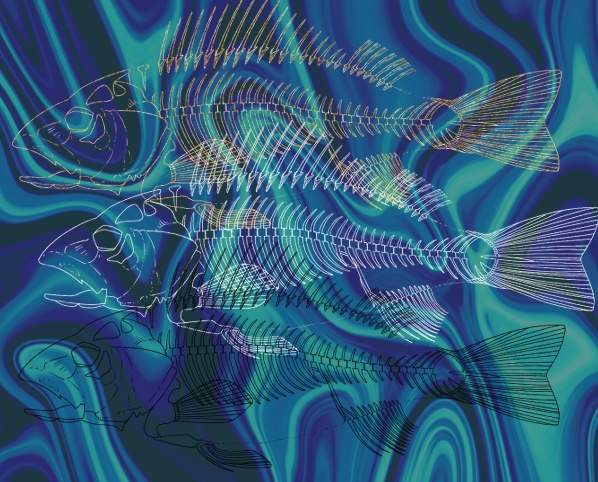 【鷸印素材集】回遊