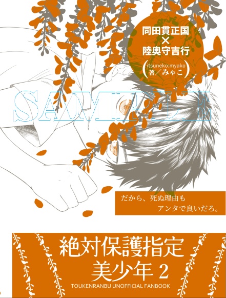 絶対保護指定美少年2