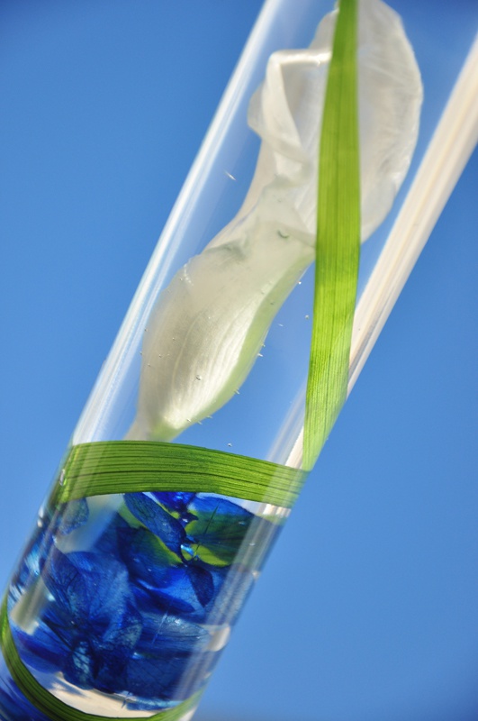 2本セットノクプロイメージハーバリウム【calla lily】