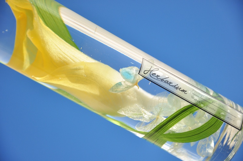 2本セットノクプロイメージハーバリウム【calla lily】