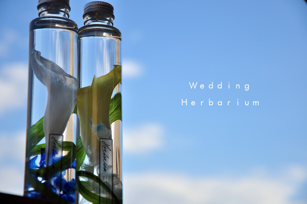 2本セットノクプロイメージハーバリウム【calla lily】