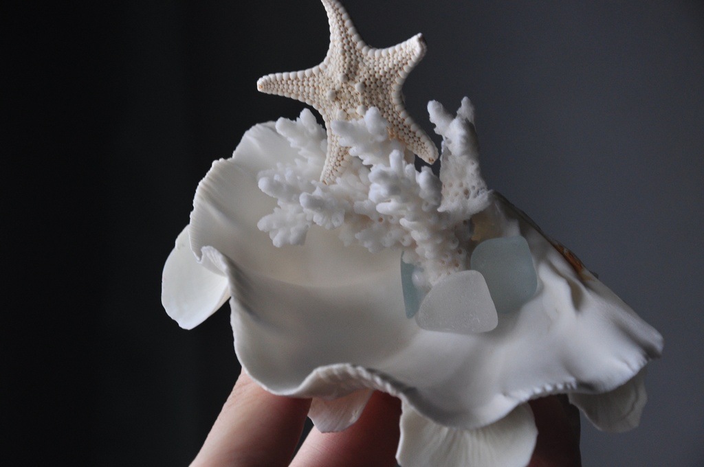 貝殻のマーメイドジュエリートレー