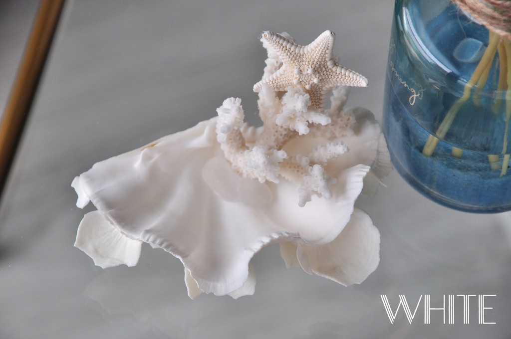 貝殻のマーメイドジュエリートレー