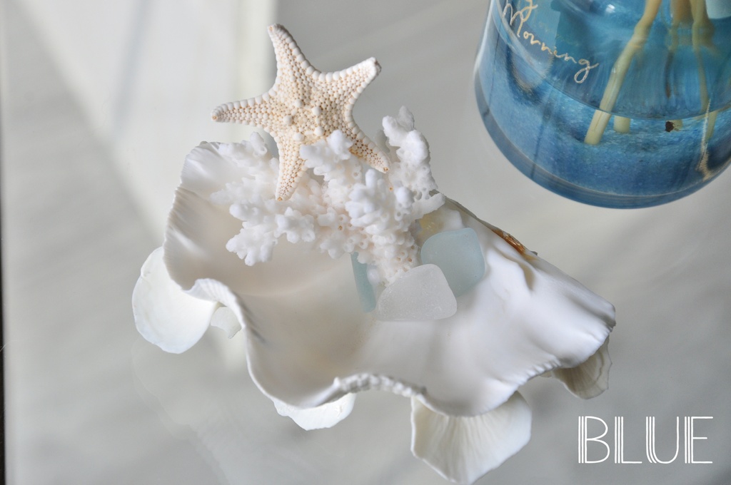 貝殻のマーメイドジュエリートレー