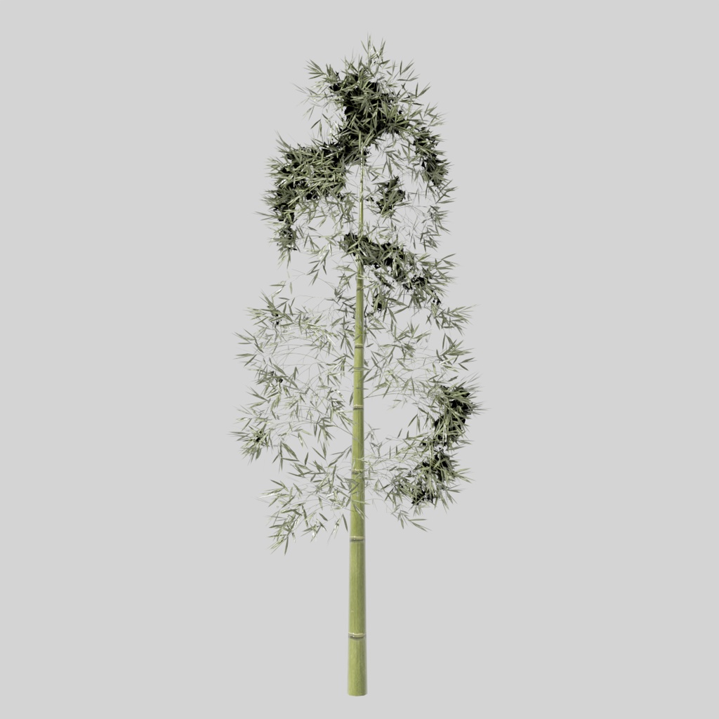 【ワールド小物】さくらと竹詰め合わせセット