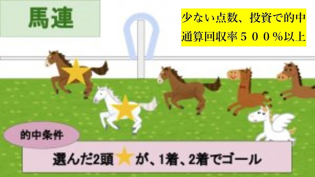 【馬連】●少ない点数、投資で的中●独自の統計で編み出した競馬予想法●通算回収率５００％以上●