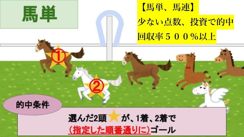 【馬単、馬連】●少ない点数、投資で的中●独自の統計で編み出した競馬予想法●通算回収率５００％以上●