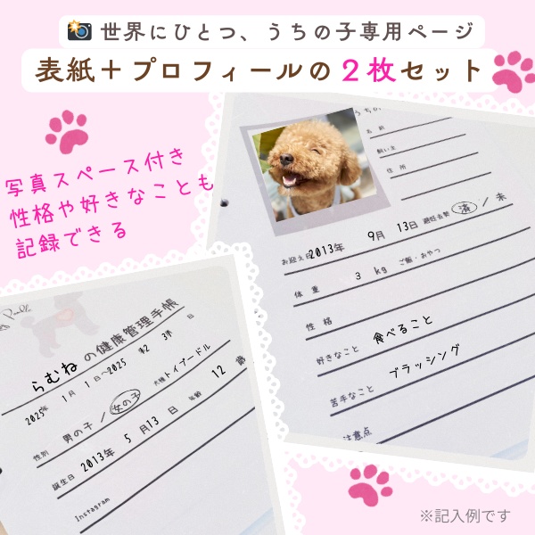 【PDF印刷専用】ラグドール(猫用)オプション表紙|うちの子健康管理手帳