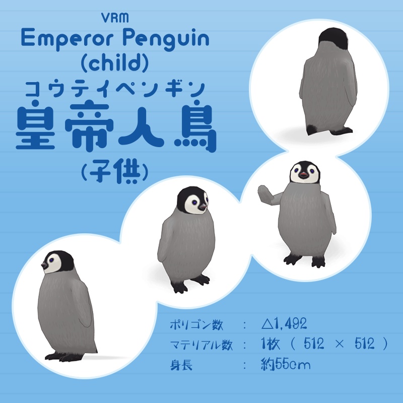 ペンギン ドミニオンペンギン❤︎世界唯一見られるDOMINION PENGUIN 