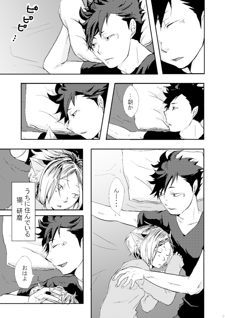 ネコ研磨とクロさん