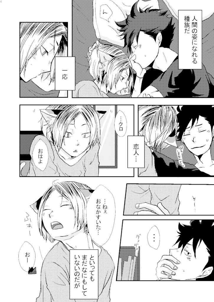 ネコ研磨とクロさん