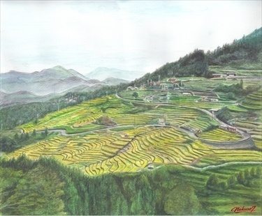 丸山千枚田｜水彩画作品32（風景画）
