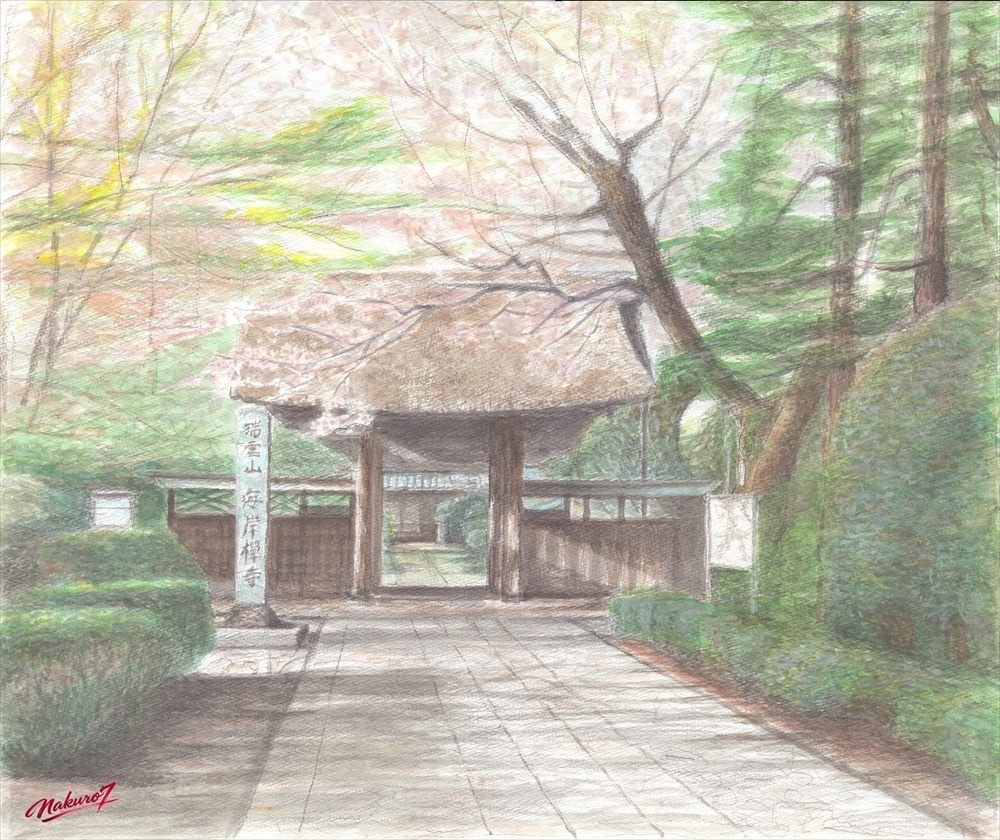 小平市 海岸寺の桜（東京）｜水彩画64作目【高解像度デジタル作品】