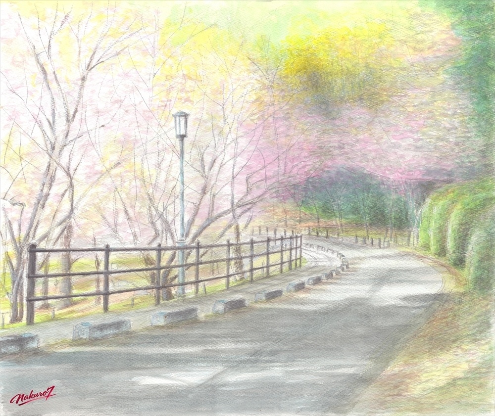 福岡 西公園の桜|水彩画66作目【高解像度デジタル版】