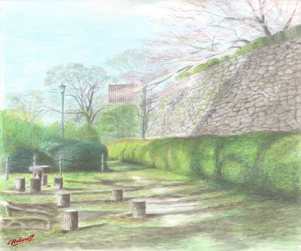 水彩画70作目|福岡 舞鶴公園 散歩道の桜|高解像度JPEGデータ