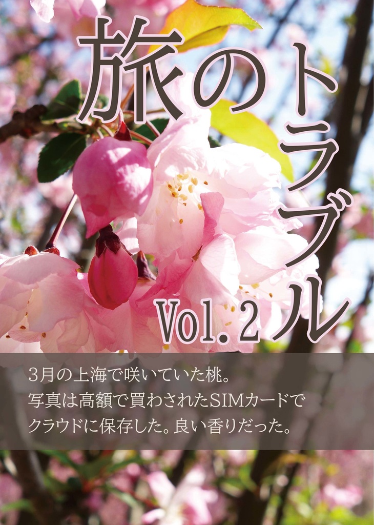 旅のトラブルセット